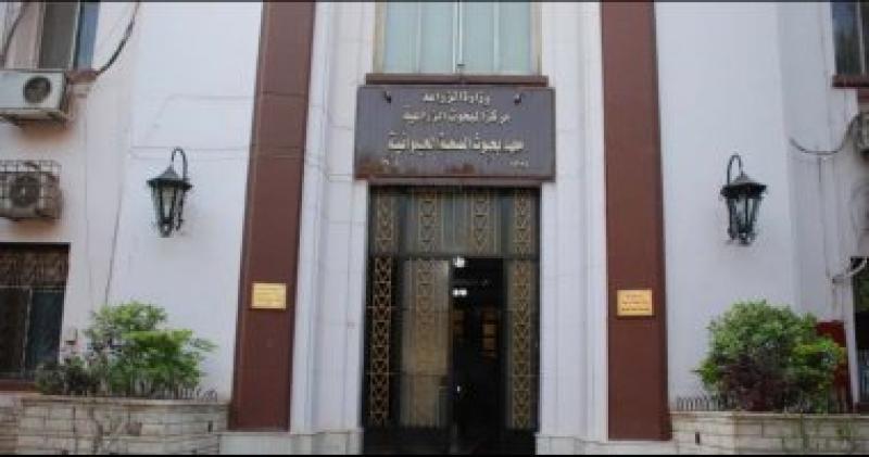 معهد بحوث الصحة الحيوانية