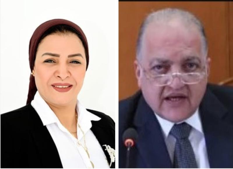  النائب طلعت السويدي والنائبة ألفت المزلاوى