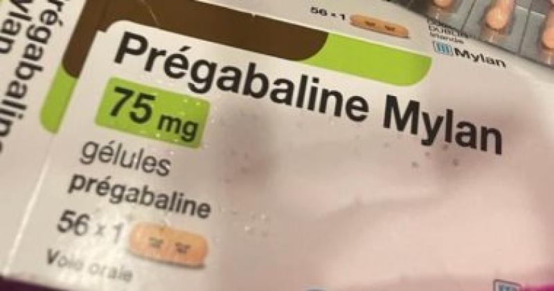 المضبوطات