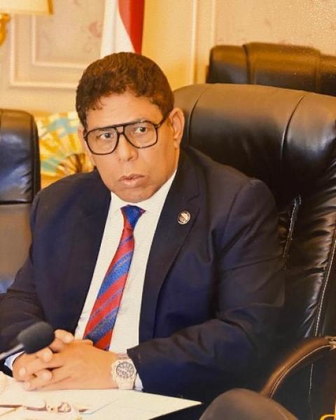 النائب سيد عوض 