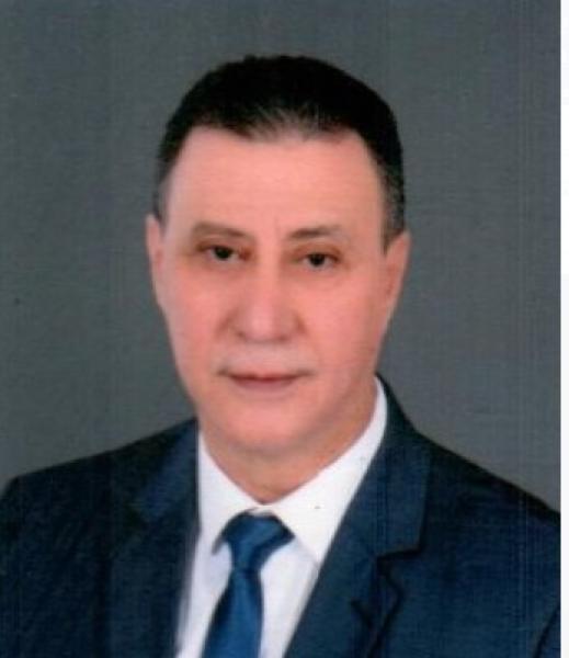 هشام فاروق 