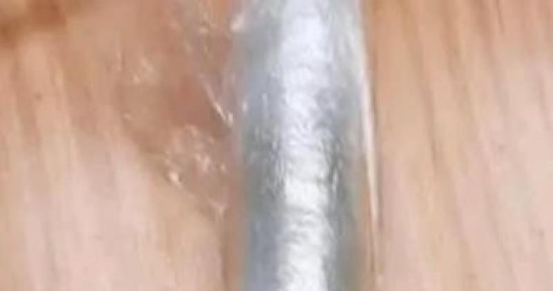 المضبوطات 