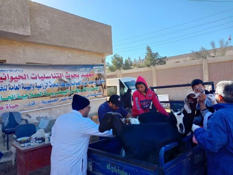  قوافل بيطرية