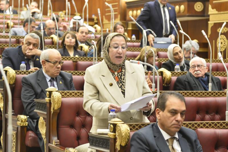 النائبة حياة خطاب