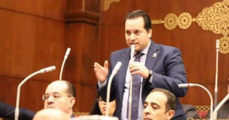النائب د.رامي جلال عضو مجلس الشيوخ