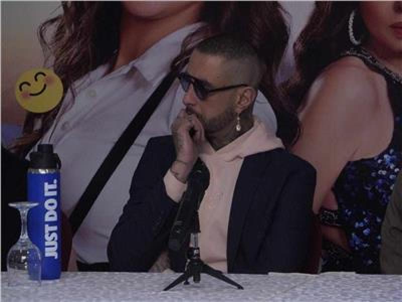 احمد الفيشاوي