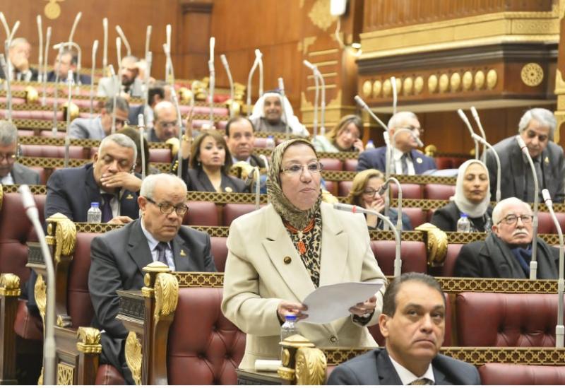  النائبة حياة خطاب