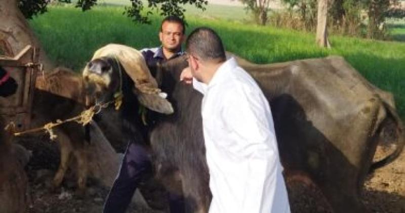 جانب من الحملات 