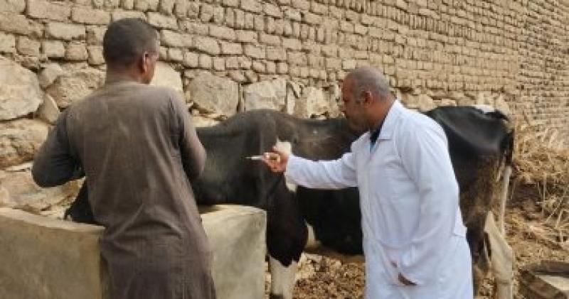 تحصين الماشية  