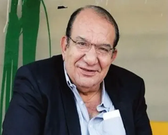 المهندس محمد عادل فتحي 