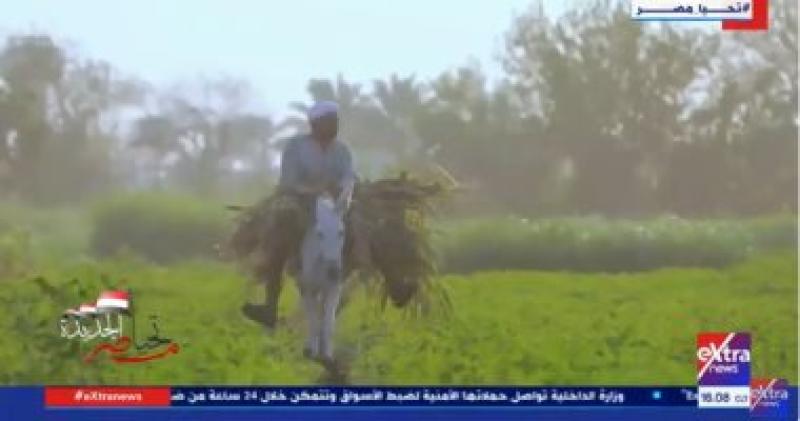 تقرير عن كارت الفلاح