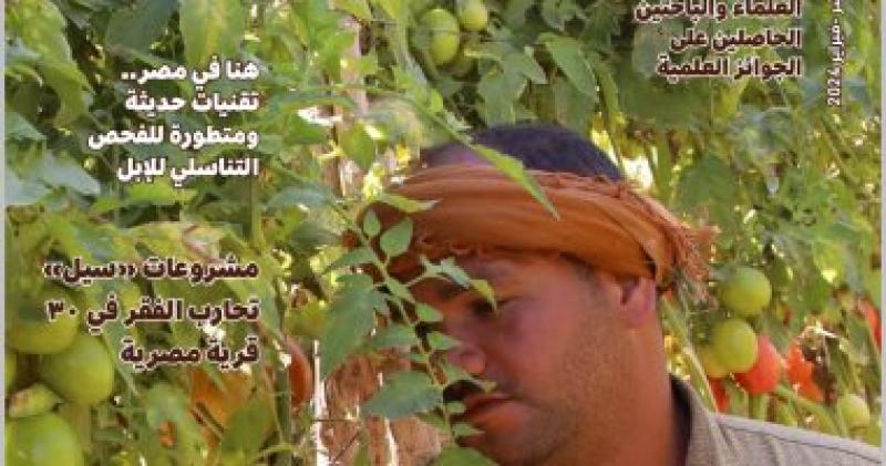 صور