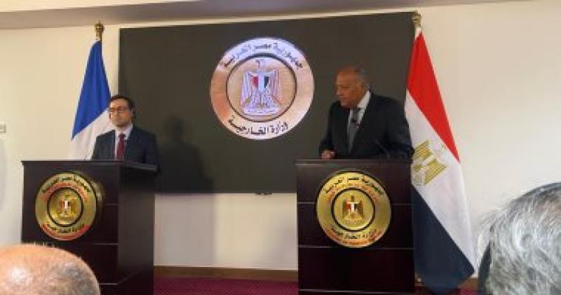 وزيرا خارجية مصر وفرنسا