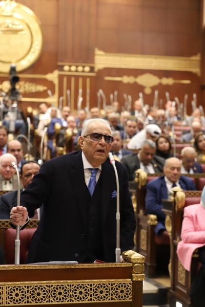 المستشار بهاء أبوشقة