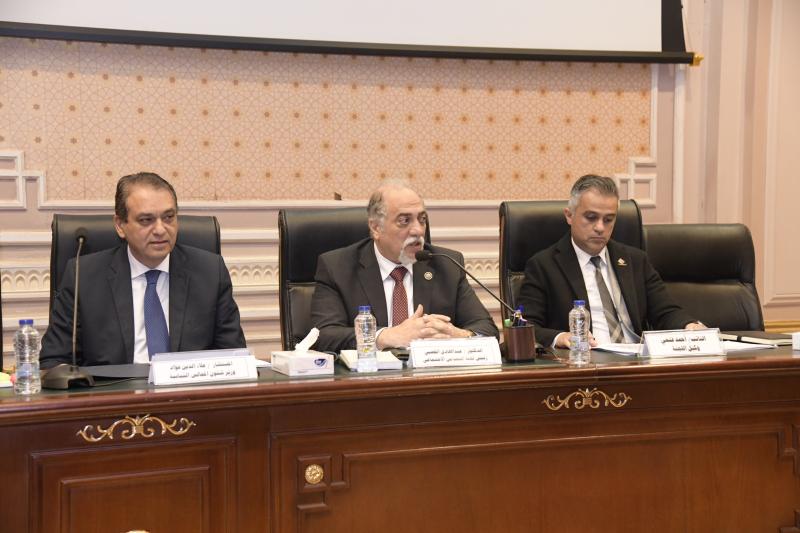 لجنة التضامن الاجتماعي 