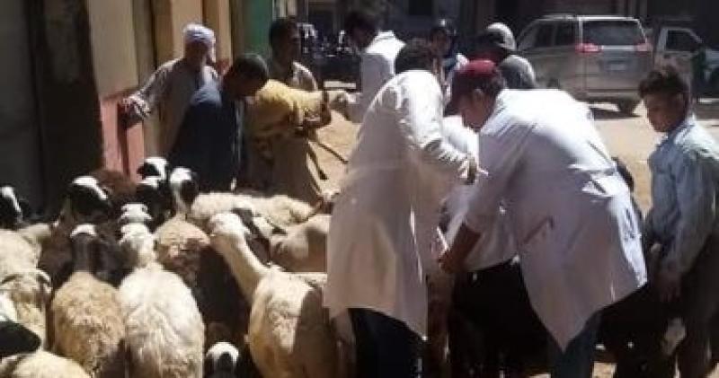 قوافل بيطرية