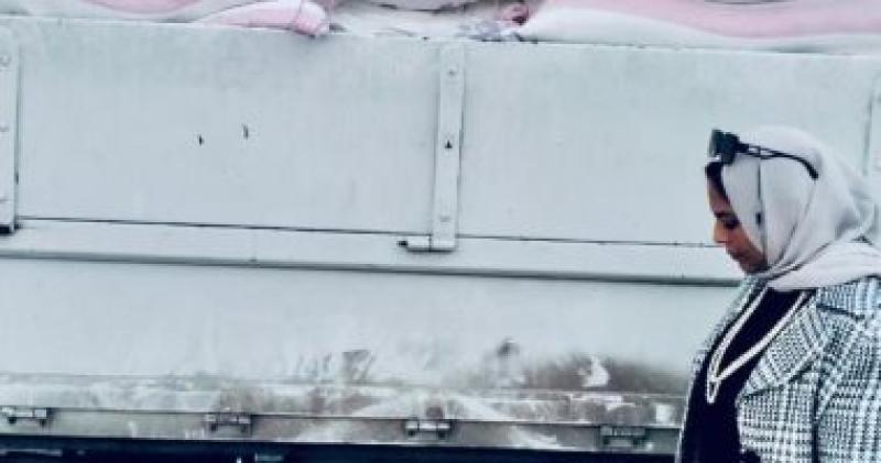 المضبوطات
