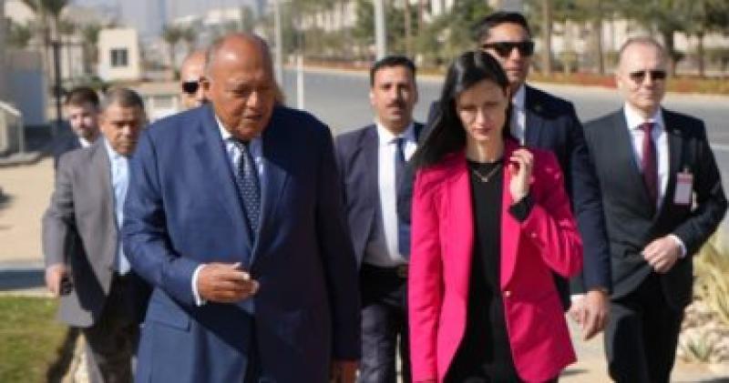 شكري يستقبل وزيرة خارجية بلغاريا