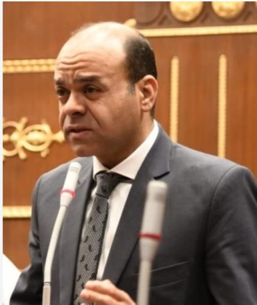 النائب عمرو القماطي