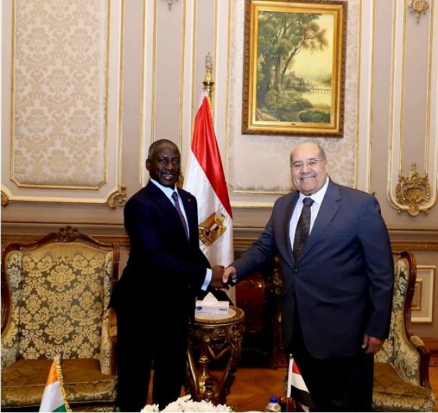 جانب من اللقاء 