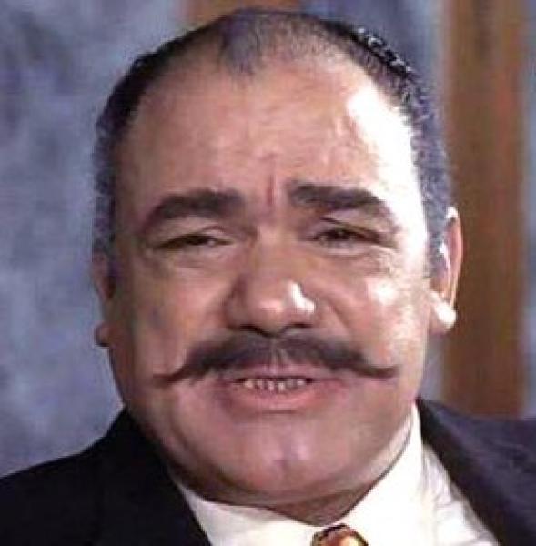 الفنان محمد رضا
