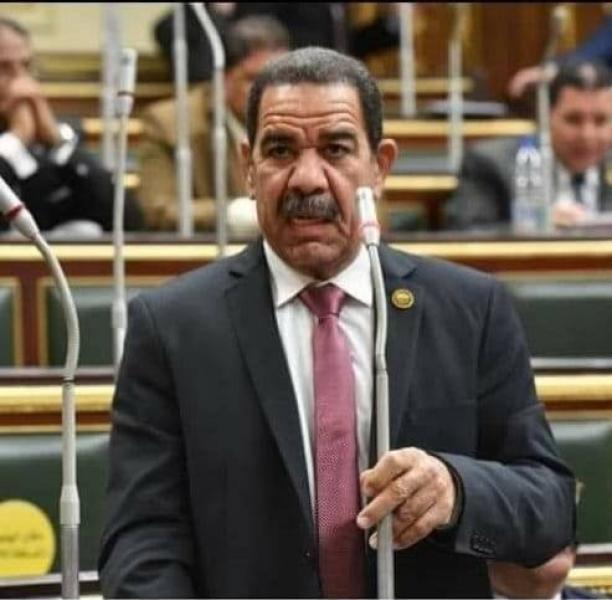 النائب حمدى حسن سليمان، عضو لجنة الزراعة بمجلس النواب