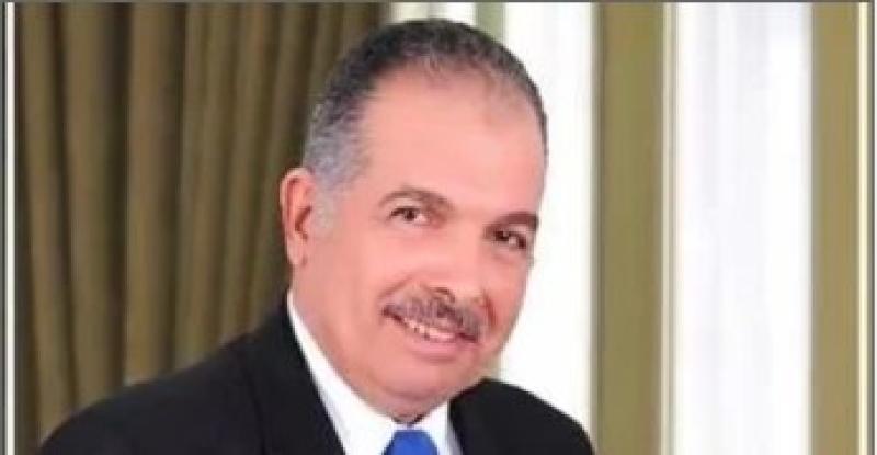 النائب عادل عامر