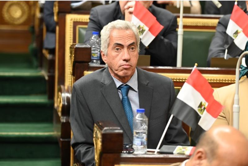 النائب عمرو السنباطي 