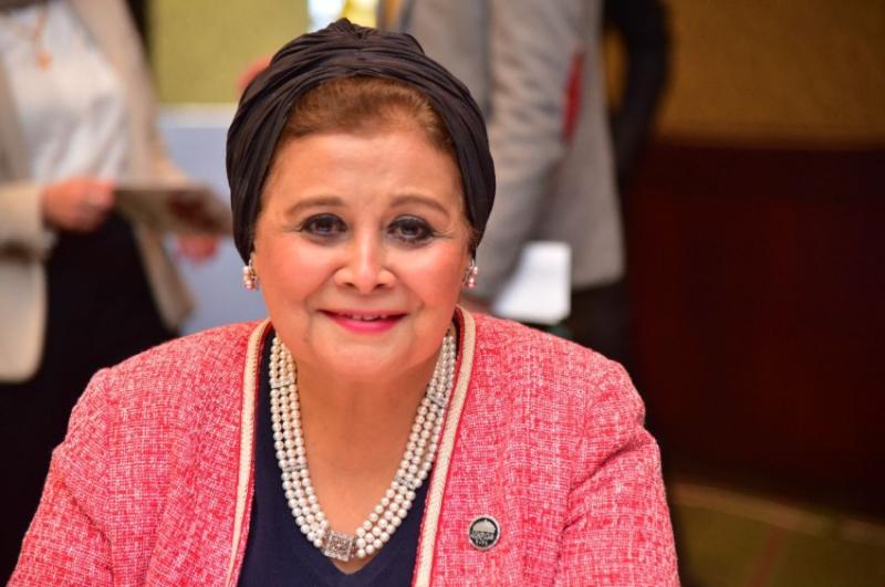 الدكتورة عبلة الألفي عضو لجنه الصحة بمجلس النواب