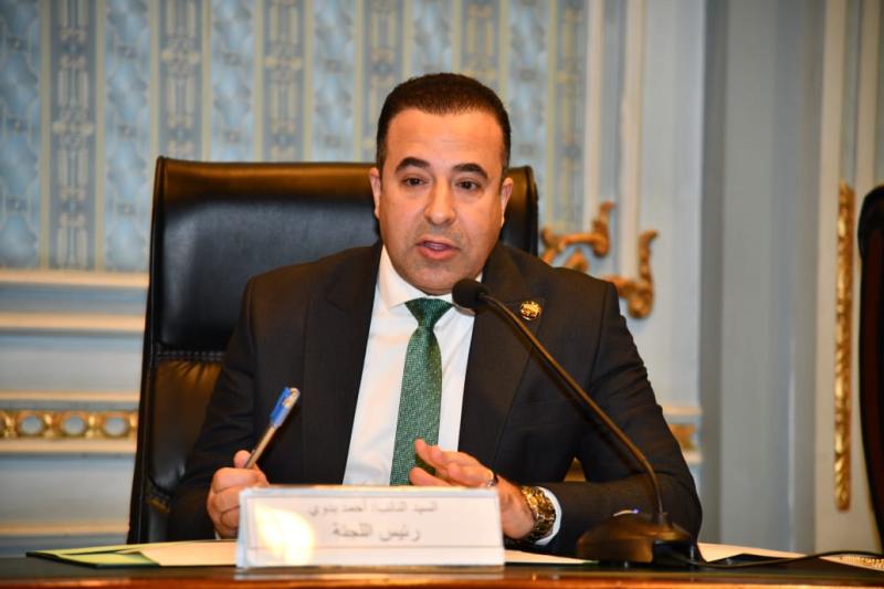 احمد بدوي 