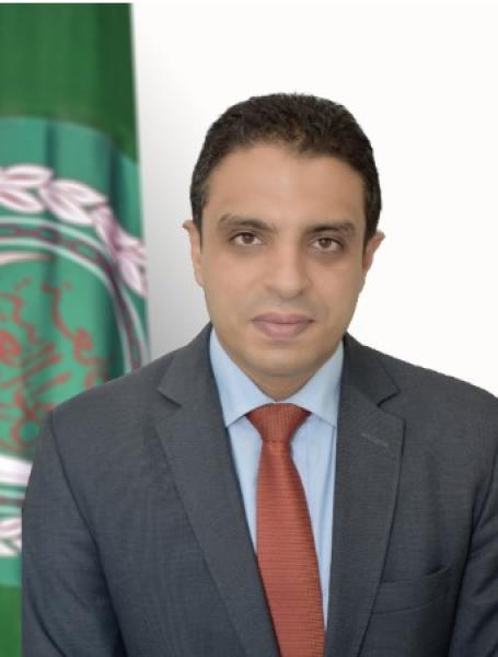 جمال رشدي المتحدث الرسمي باسم الأمين العام للجامعة 