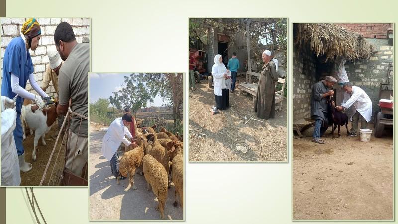 الخدمات البيطرية