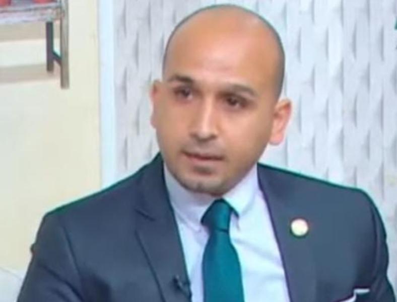 الكاتب محمود فوزي 