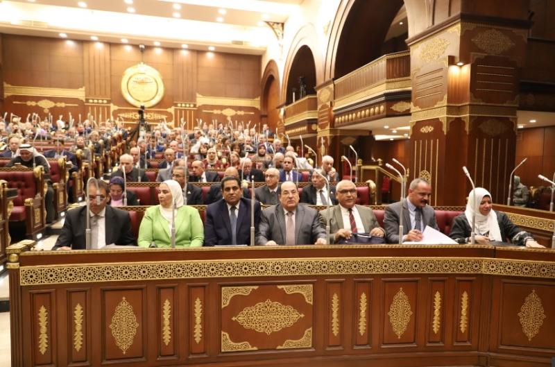 بهاء أبو شقة وكيل مجلس النواب