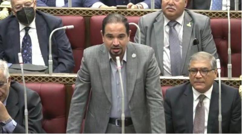 محمد الضبعاوى