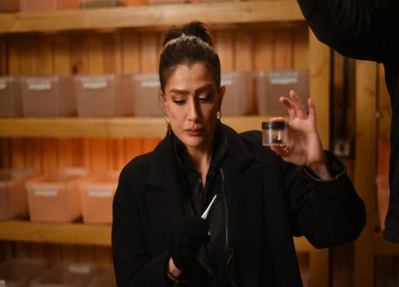 مسلسل صيد العقارب 