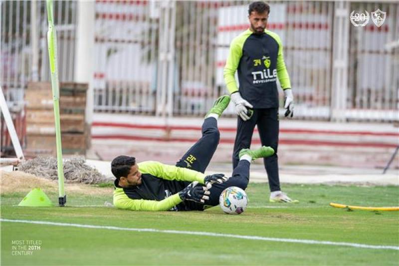 محمد صبحي