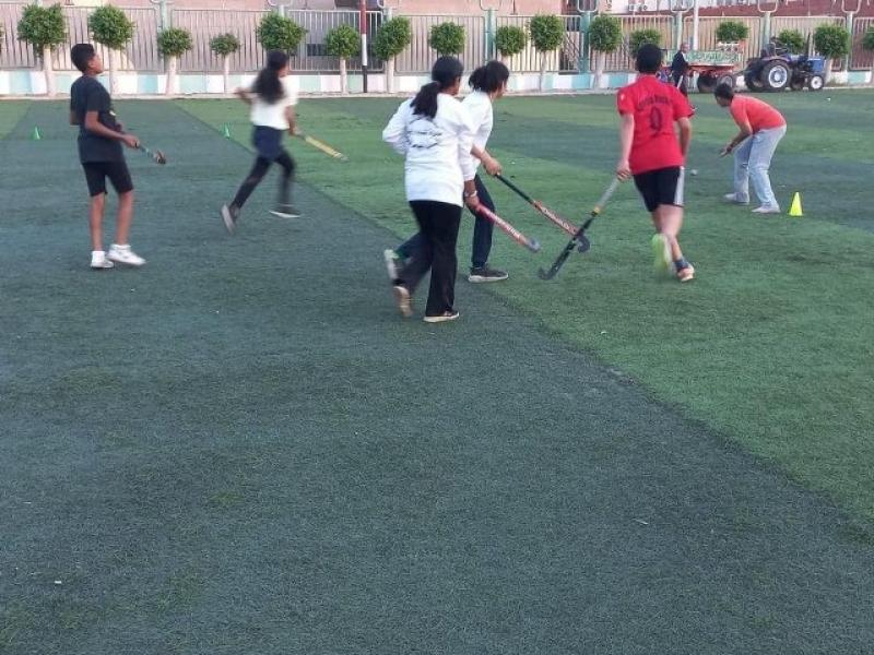 الهوكي 