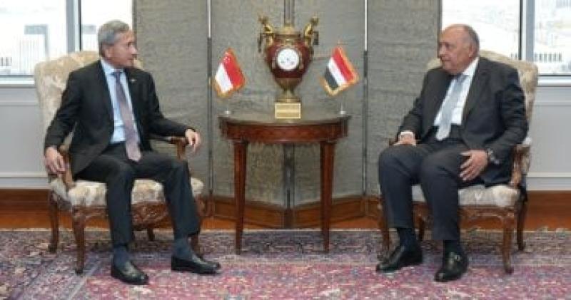 وزير الخارجية ونظيره السنغافوري