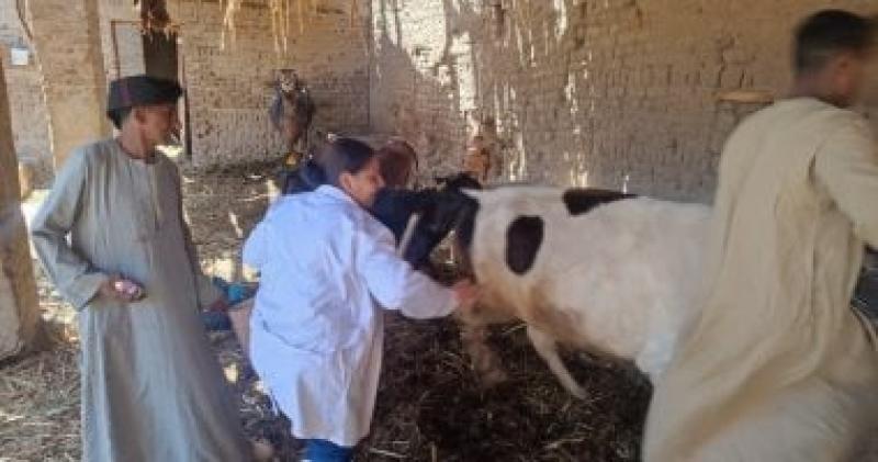 لجان الطب البيطرى