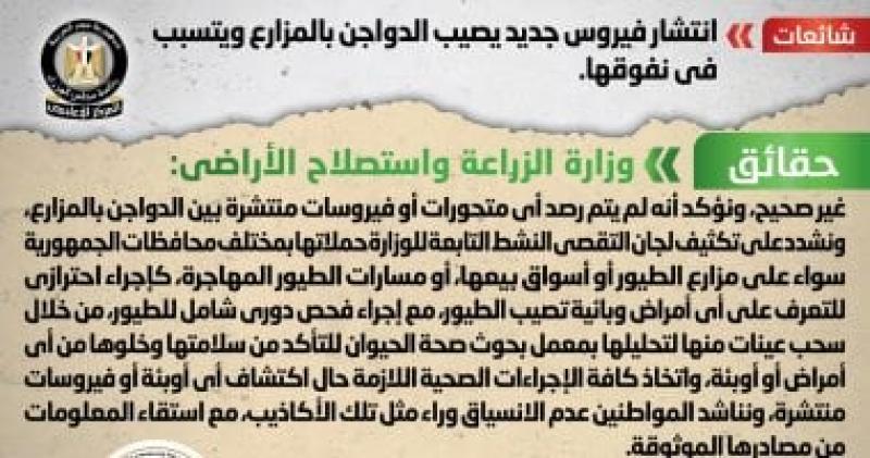 انفوجراف