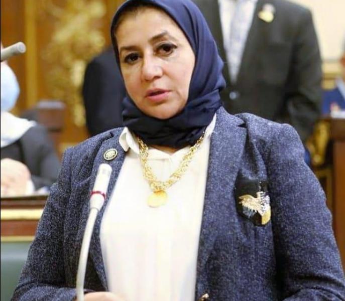 النائبة حنان عمار 