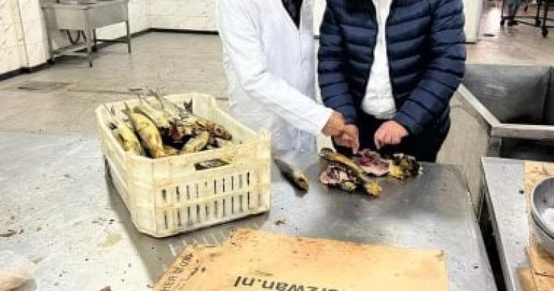 المضبوطات 