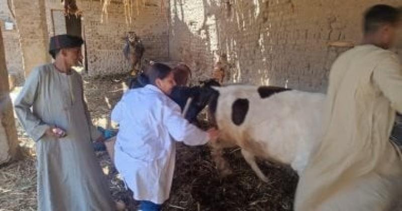 تحصين الماشية 