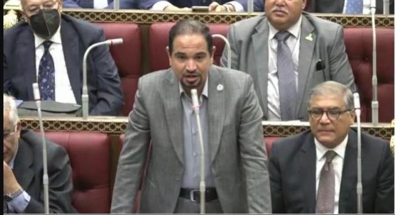 النائب محمد الضبعاوي 
