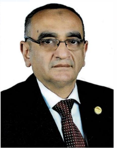 النائب اللواء حاتم حشمت