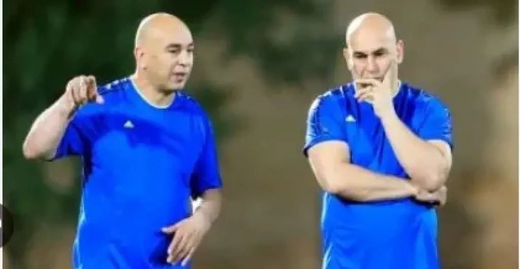  التوأم-