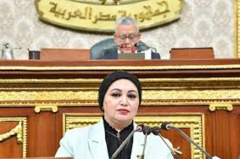 النائبة سولاف درويش وكيل لجنة القوى العاملة بمجلس النواب