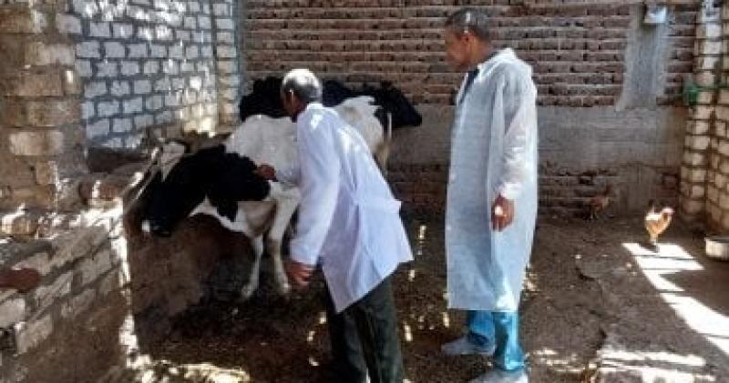 قطاع تنمية الثروة الحيوانية