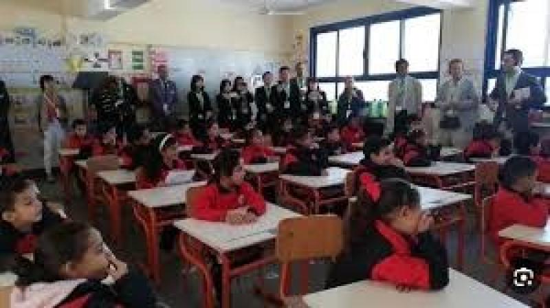المدارس المصرية اليابانية